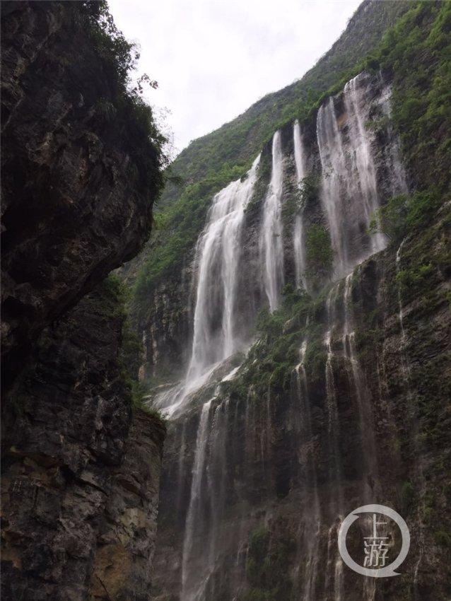 粉丝情绪爆发，贾玲新片《热辣滚烫》因抄袭以及过度宣传惹争议再遭抵制